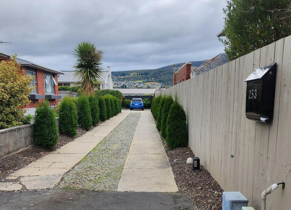 253 On Highgate Apartment Dunedin Bagian luar foto